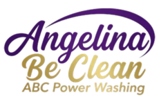 Angelina Bee Clean